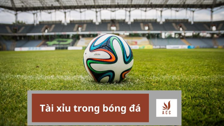 tai xiu trong bong da